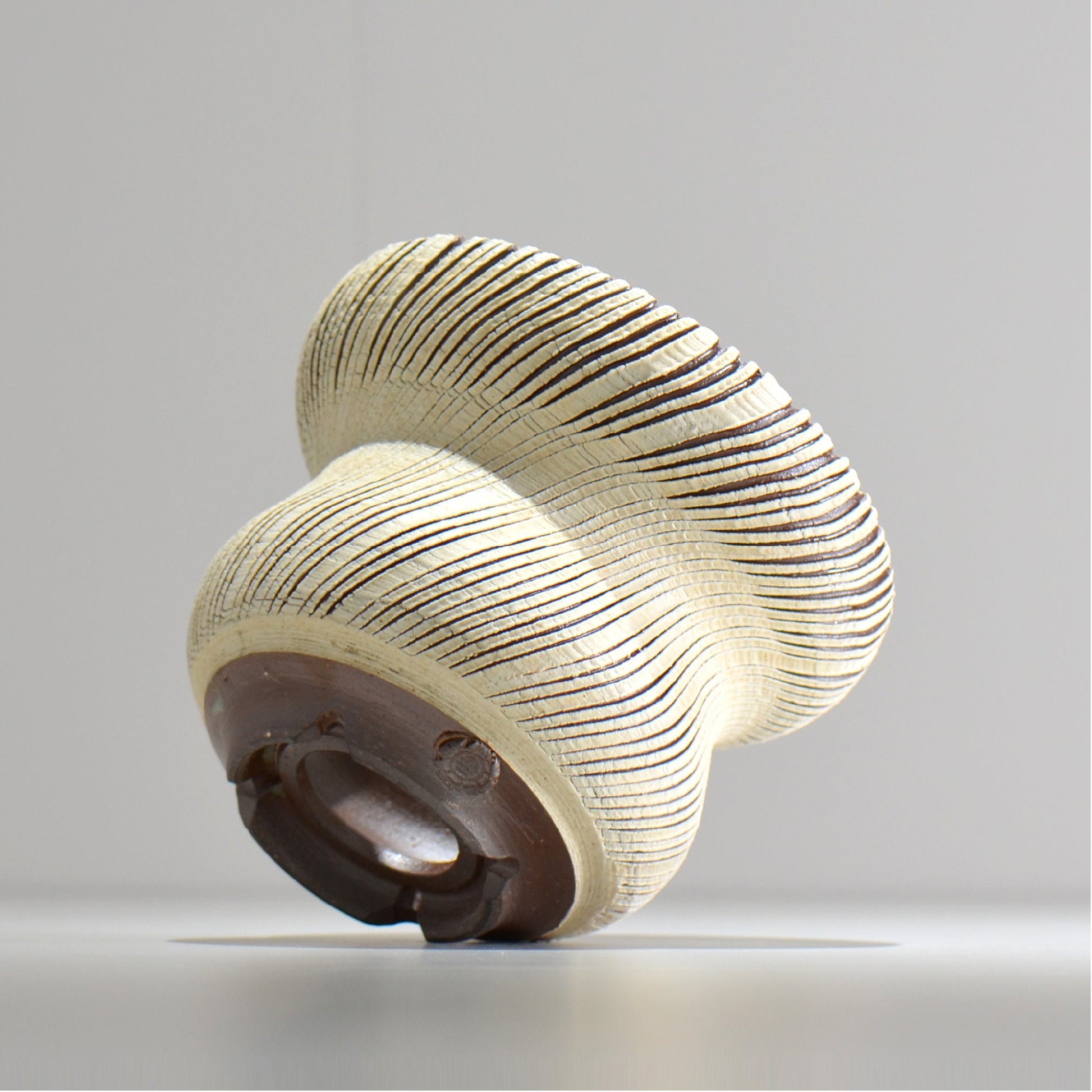 陶房Kibi / シュレッド/tksh_18_m  / 約 φ14.7cm / 植木鉢