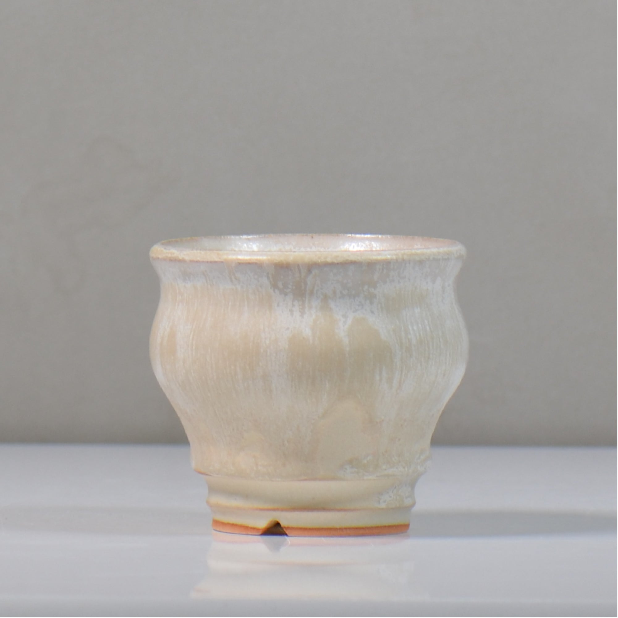 希少。美斑紋山採りトサミズキ3.7M(鉢底から) 内山 真寿美 / Antique Color Series / um_ac01_xs / 約φ8.7cm