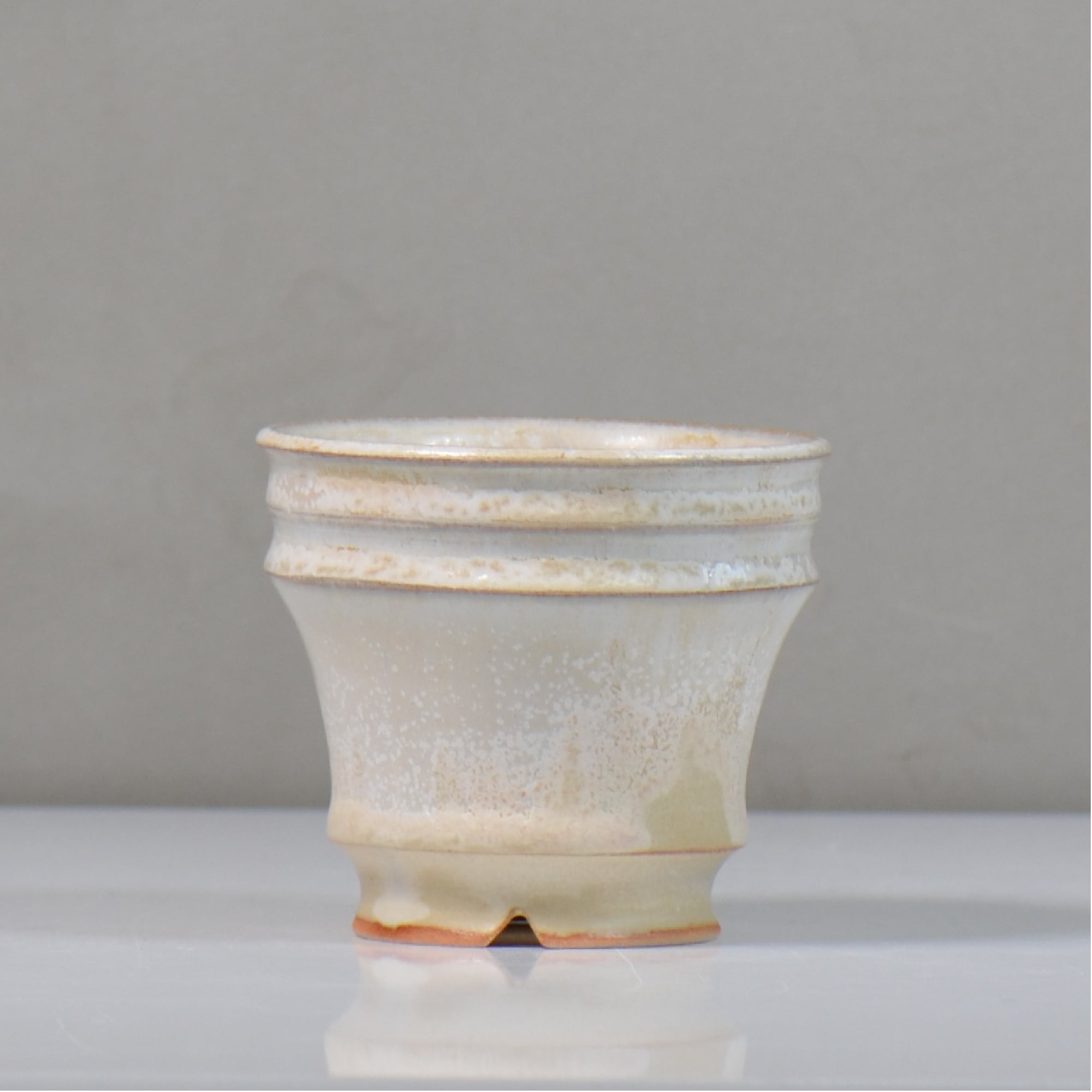 逸品。山採りヒメシャラ2.3M(鉢底から)品番C 内山 真寿美 / Antique Color Series / um_ac04_s / 約φ9.3cm / 植木鉢