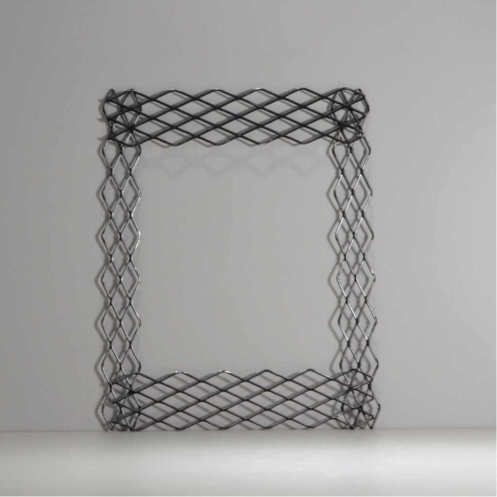 植田屋×鉄 / ビカクシダ アイアンフレーム /  ut_01_xl / W31.7cm × H40.5cm / ビカクシダ額