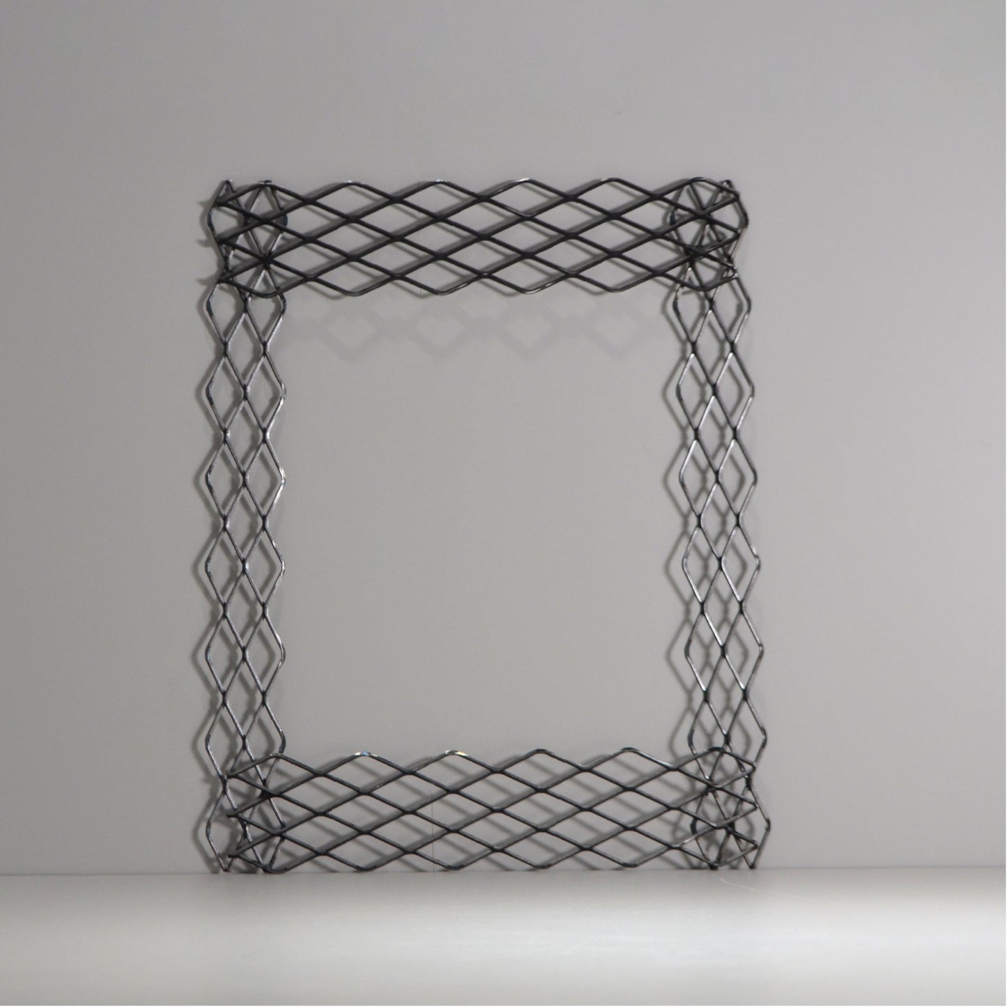 植田屋×鉄 / ビカクシダ アイアンフレーム /  ut_01_xl / W31.7cm × H40.5cm / ビカクシダ額