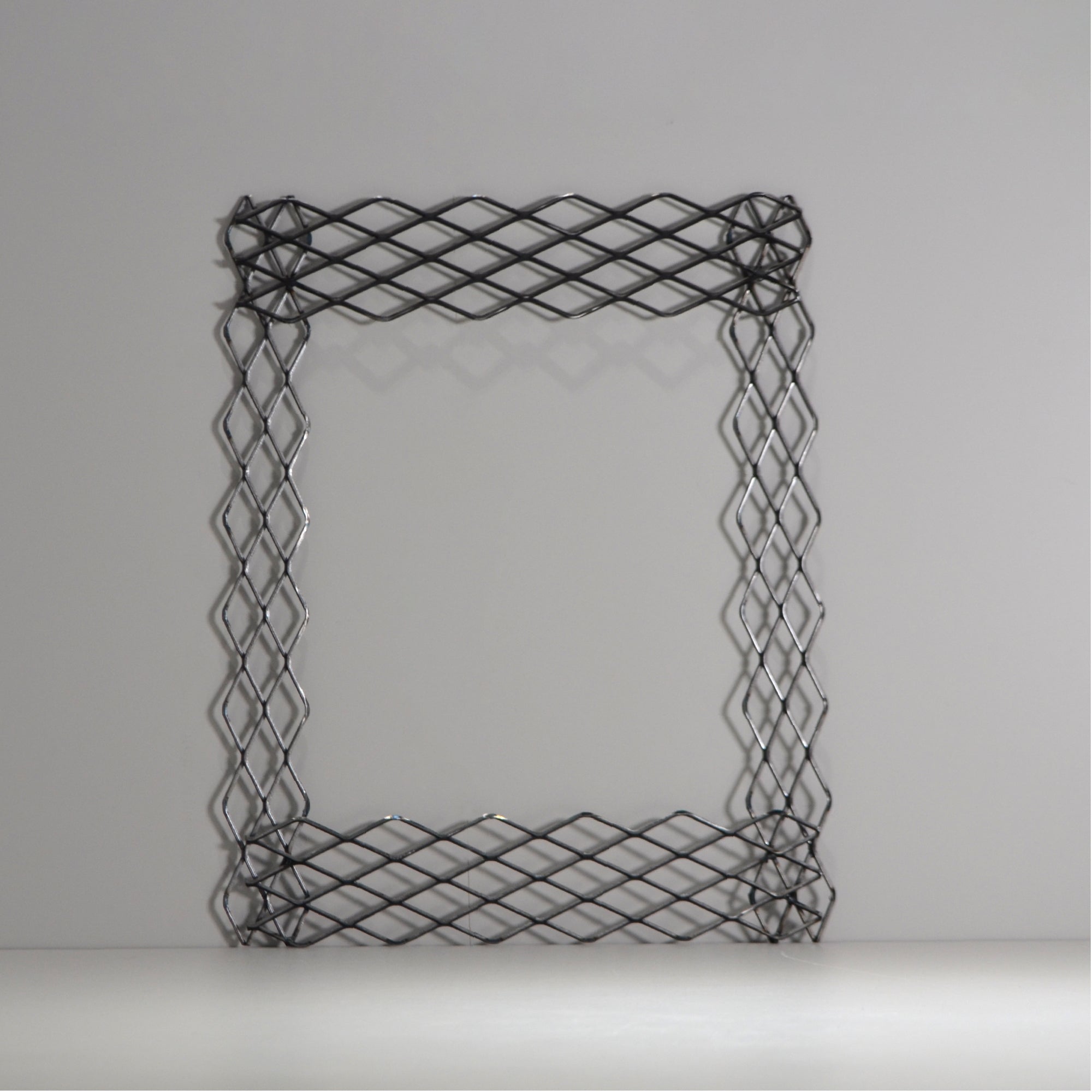 植田屋×鉄 / ビカクシダ アイアンフレーム /  ut_01_xl / W31.7cm × H40.5cm / ビカクシダ額