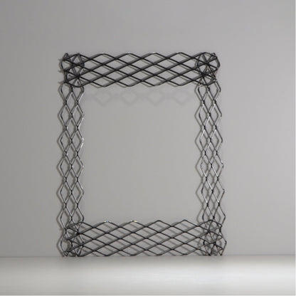 植田屋×鉄 / ビカクシダ アイアンフレーム /  ut_01_xl / W31.7cm × H40.5cm / ビカクシダ額