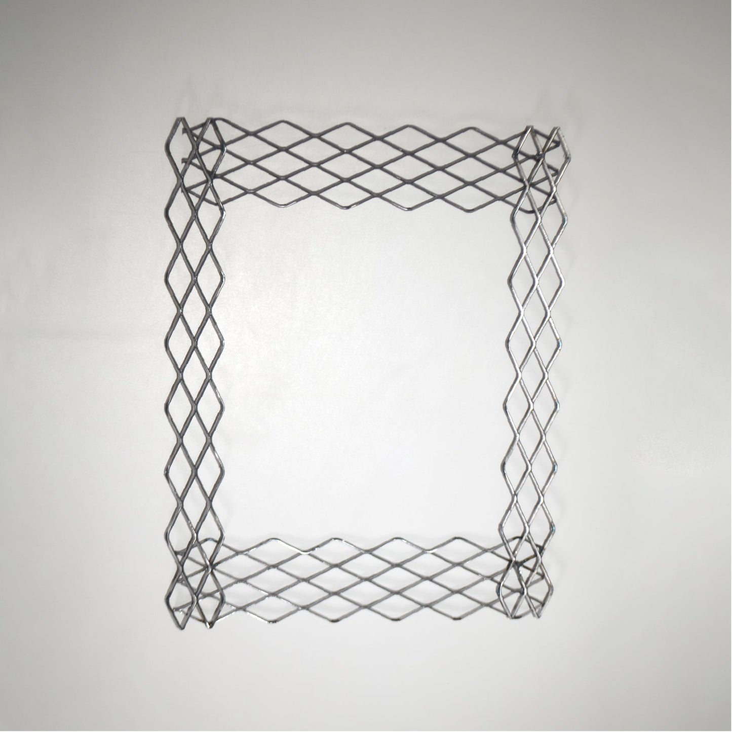 植田屋×鉄 / ビカクシダ アイアンフレーム /  ut_01_xl / W31.7cm × H40.5cm / ビカクシダ額