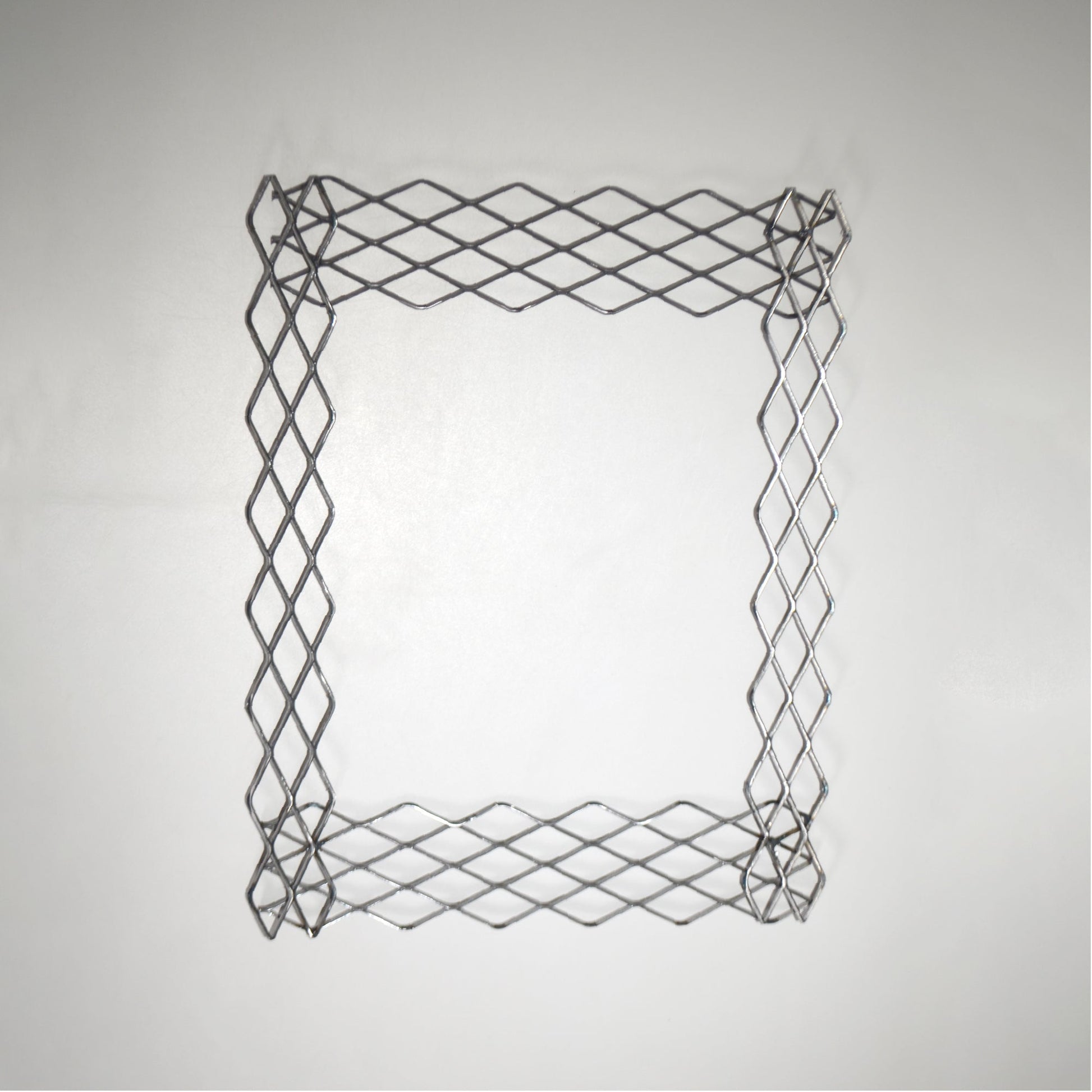 植田屋×鉄 / ビカクシダ アイアンフレーム /  ut_01_xl / W31.7cm × H40.5cm / ビカクシダ額