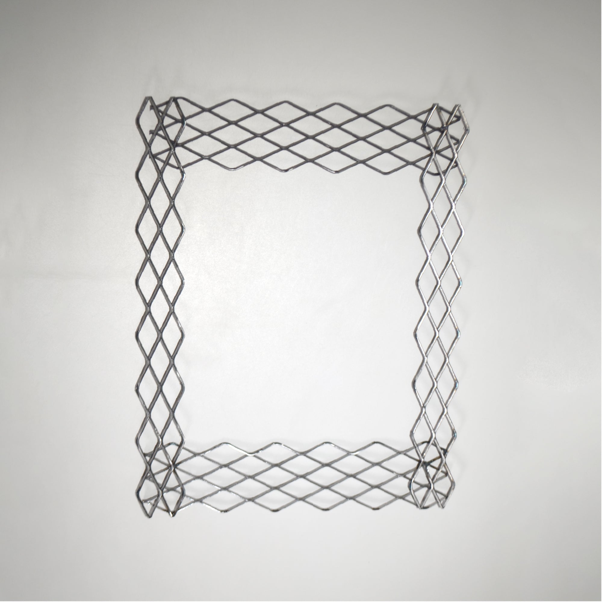 植田屋×鉄 / ビカクシダ アイアンフレーム /  ut_01_xl / W31.7cm × H40.5cm / ビカクシダ額