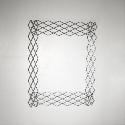 植田屋×鉄 / ビカクシダ アイアンフレーム /  ut_01_xl / W31.7cm × H40.5cm / ビカクシダ額