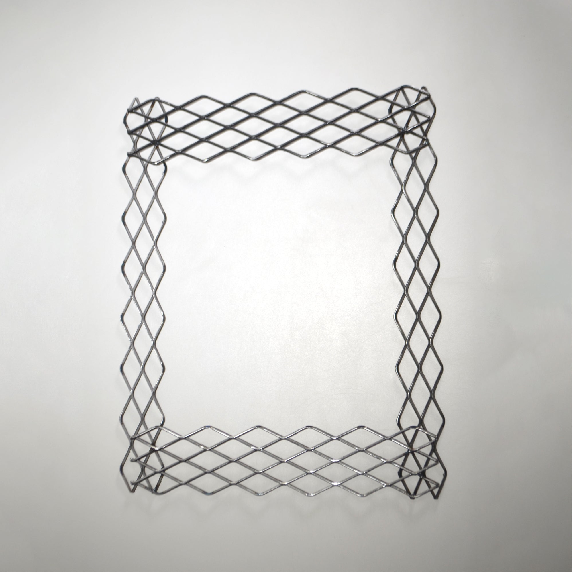 植田屋×鉄 / ビカクシダ アイアンフレーム / ut_01_xl / W31.7cm × H40