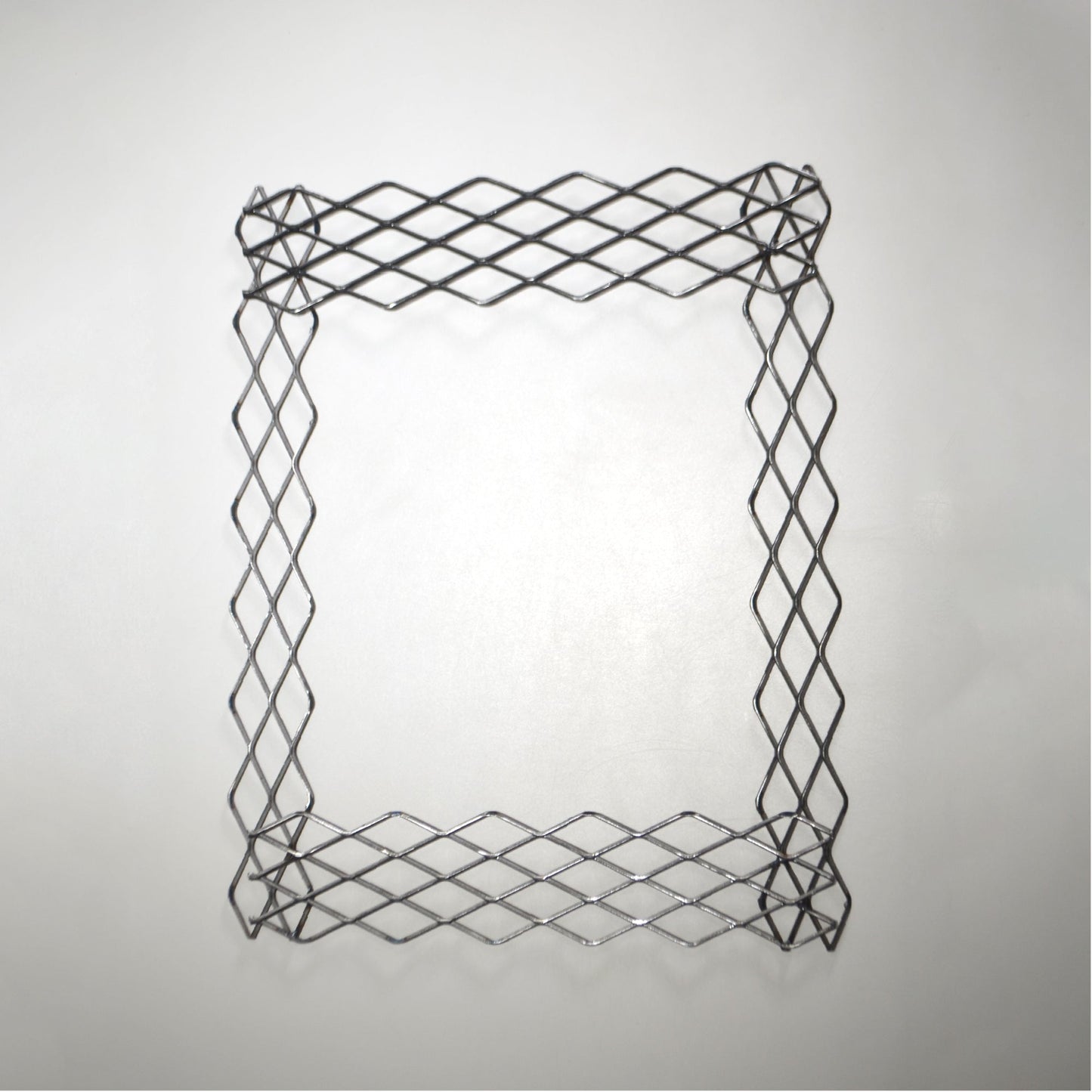 植田屋×鉄 / ビカクシダ アイアンフレーム /  ut_01_xl / W31.7cm × H40.5cm / ビカクシダ額