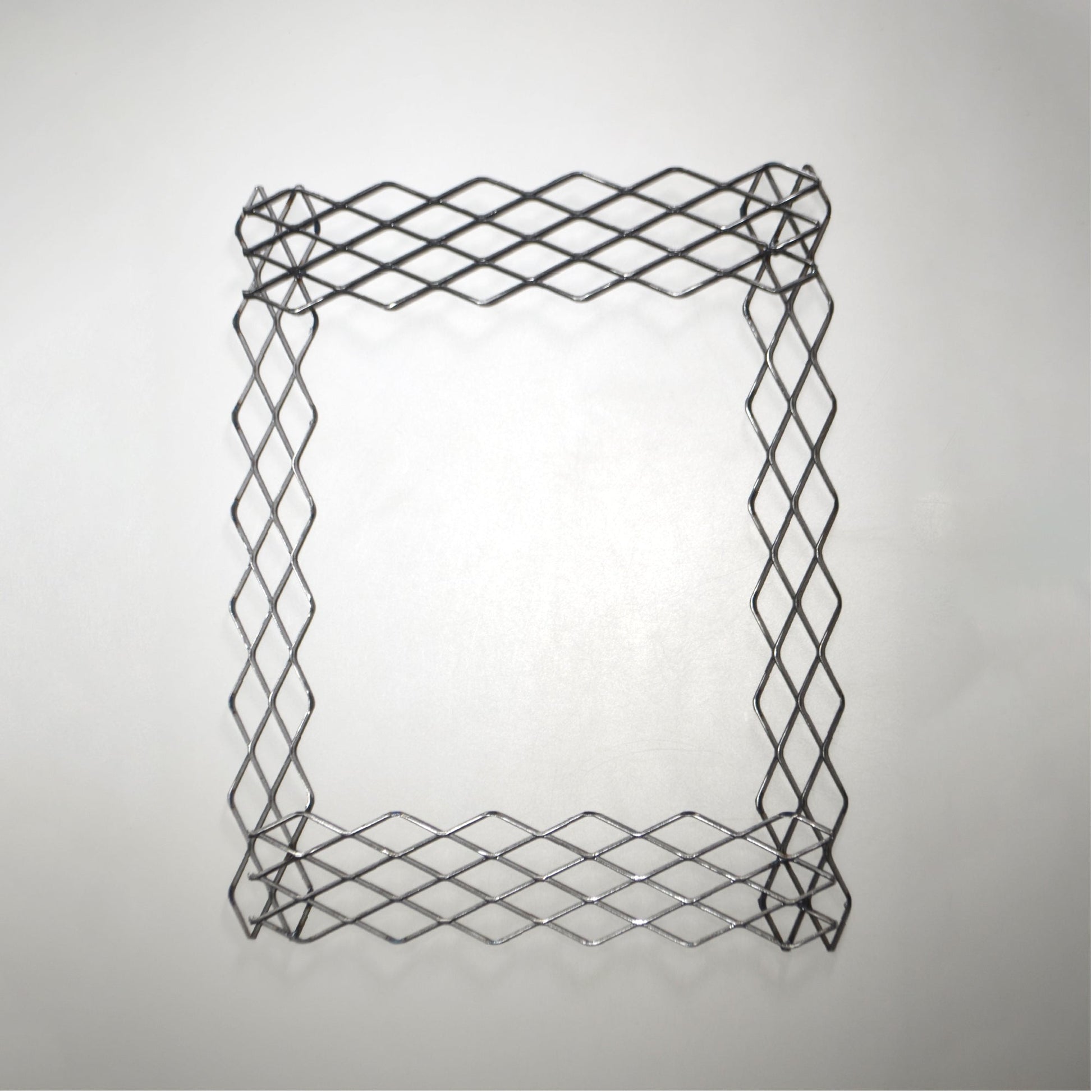 植田屋×鉄 / ビカクシダ アイアンフレーム /  ut_01_xl / W31.7cm × H40.5cm / ビカクシダ額