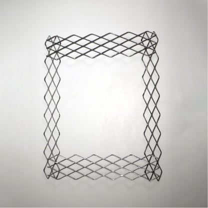 植田屋×鉄 / ビカクシダ アイアンフレーム /  ut_01_xl / W31.7cm × H40.5cm / ビカクシダ額