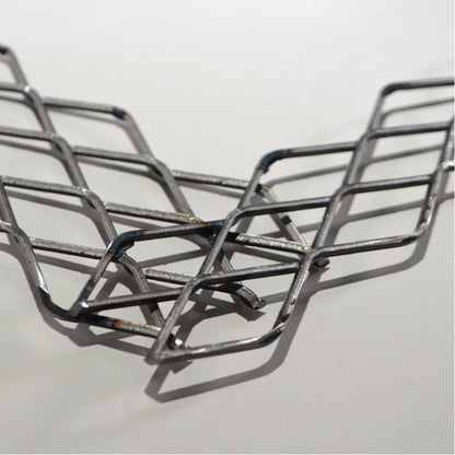 植田屋×鉄 / ビカクシダ アイアンフレーム /  ut_01_xl / W31.7cm × H40.5cm / ビカクシダ額