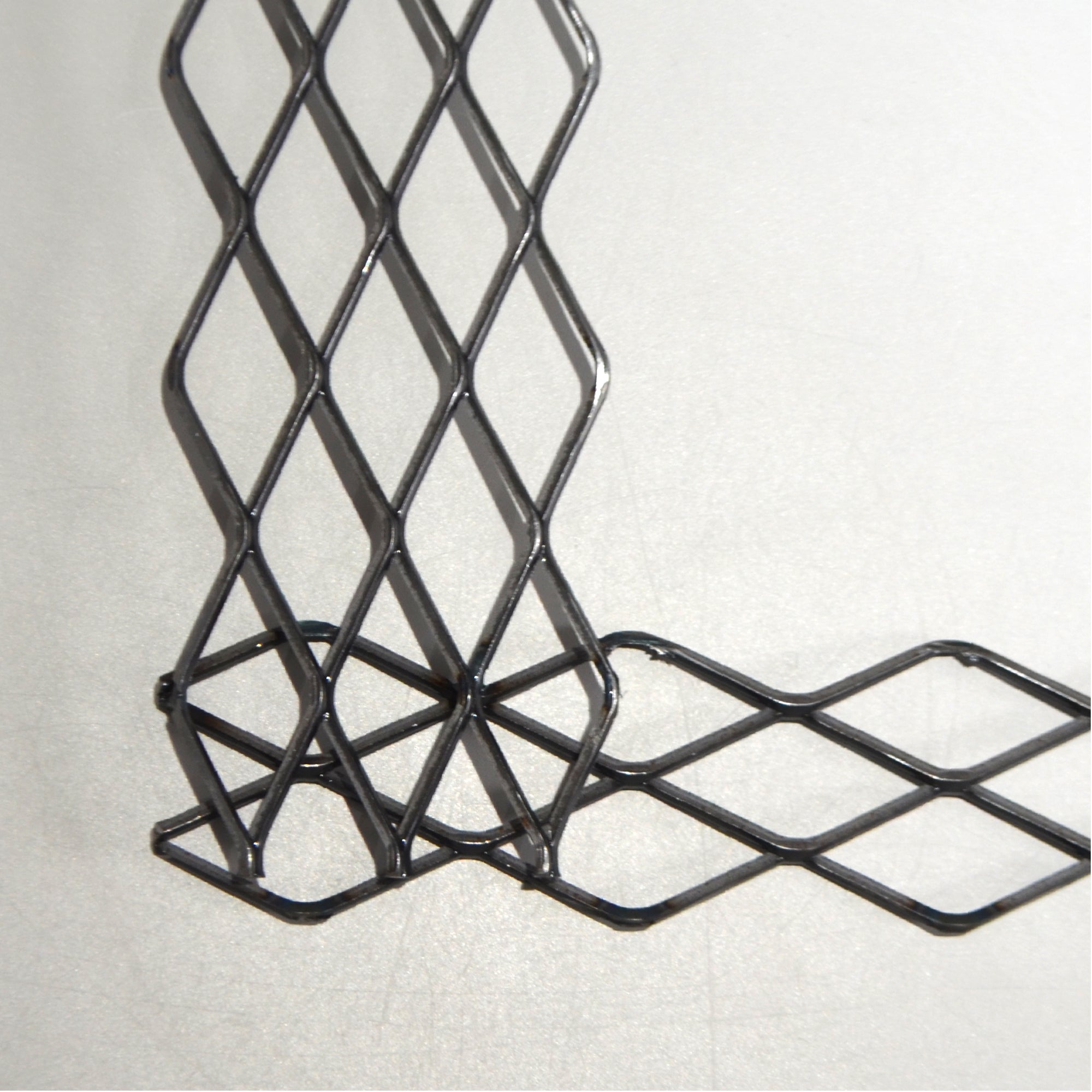 植田屋×鉄 / ビカクシダ アイアンフレーム /  ut_01_xl / W31.7cm × H40.5cm / ビカクシダ額