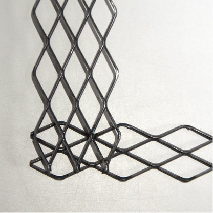 植田屋×鉄 / ビカクシダ アイアンフレーム /  ut_01_xl / W31.7cm × H40.5cm / ビカクシダ額