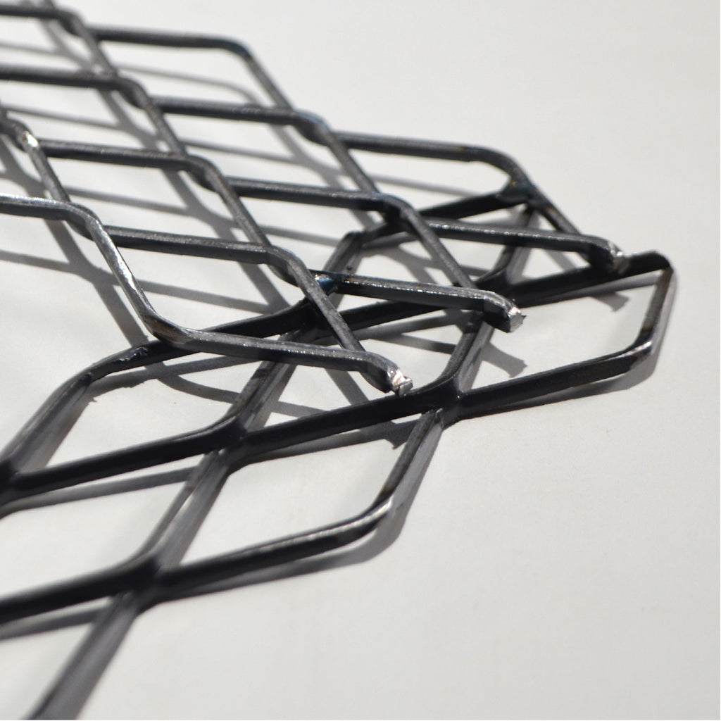 植田屋×鉄 / ビカクシダ アイアンフレーム /  ut_01_xl / W31.7cm × H40.5cm / ビカクシダ額