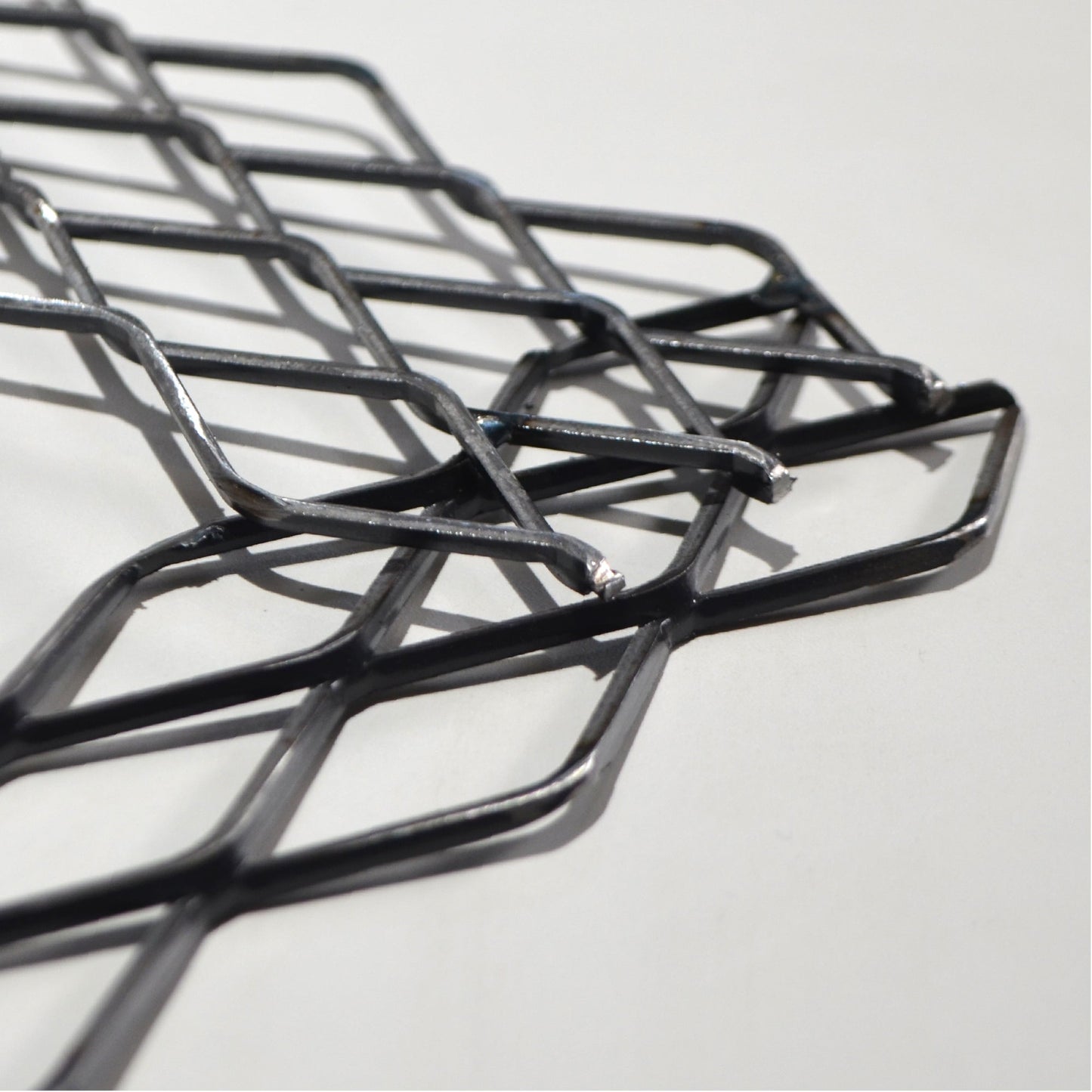 植田屋×鉄 / ビカクシダ アイアンフレーム /  ut_01_xl / W31.7cm × H40.5cm / ビカクシダ額