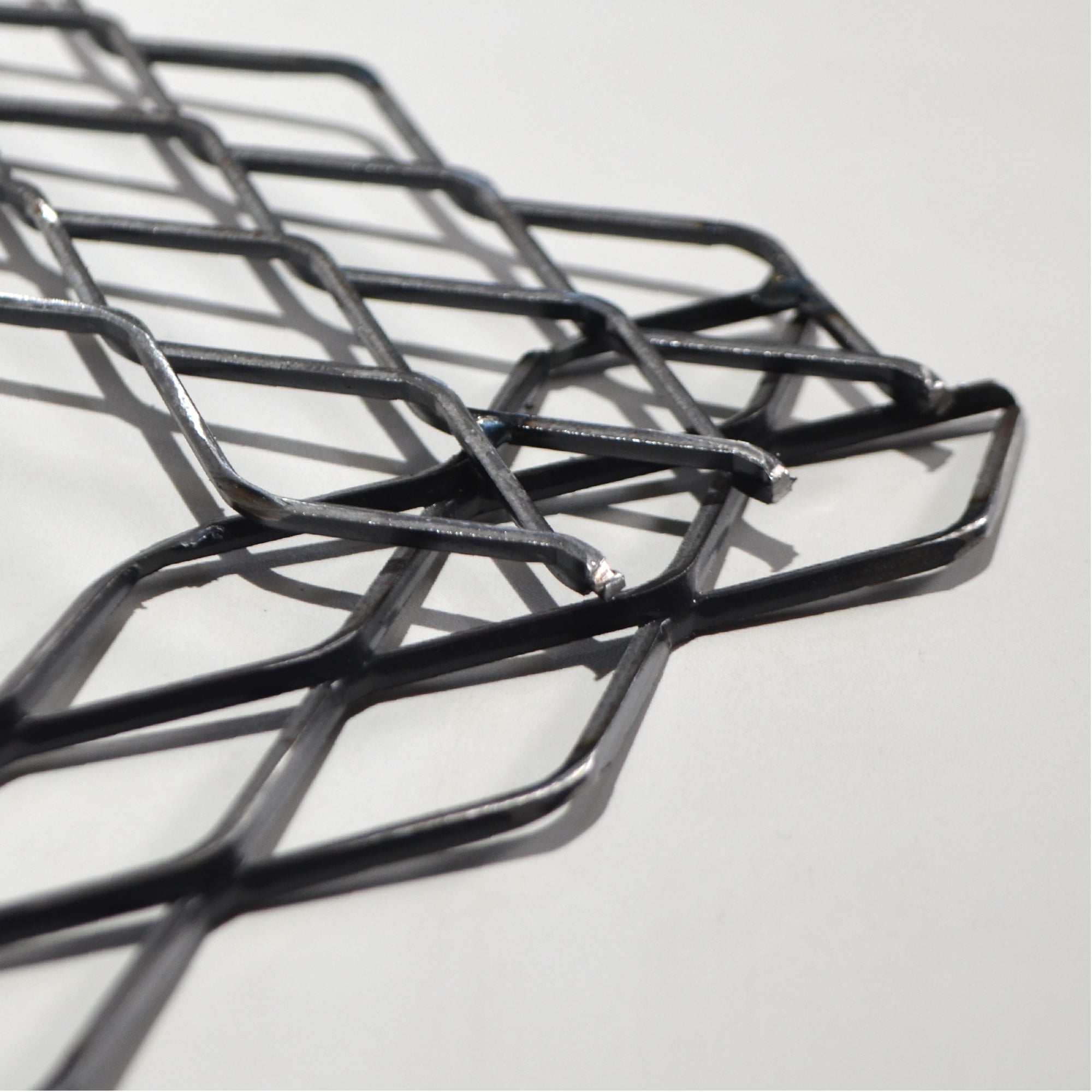 植田屋×鉄 / ビカクシダ アイアンフレーム /  ut_01_xl / W31.7cm × H40.5cm / ビカクシダ額