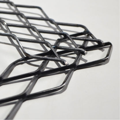 植田屋×鉄 / ビカクシダ アイアンフレーム /  ut_01_xl / W31.7cm × H40.5cm / ビカクシダ額