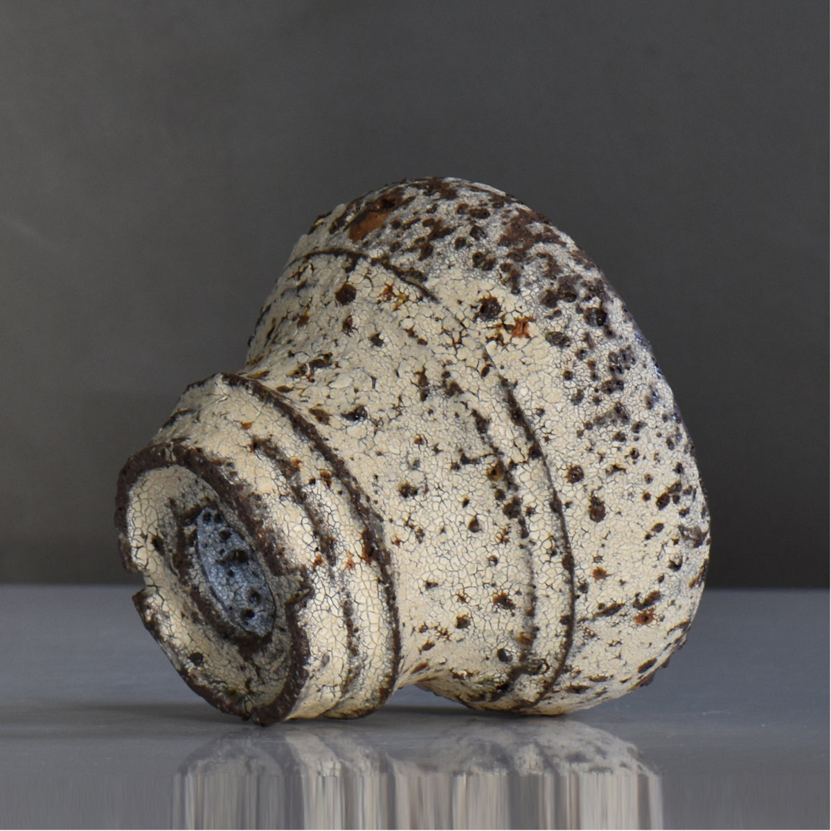 山下太 / 阿蘇石爆白裂 / yf_04_m / 約 φ14cm / 植木鉢