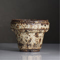山下太 / 阿蘇石爆白裂 / yf_05_m / 約 φ13cm / 植木鉢